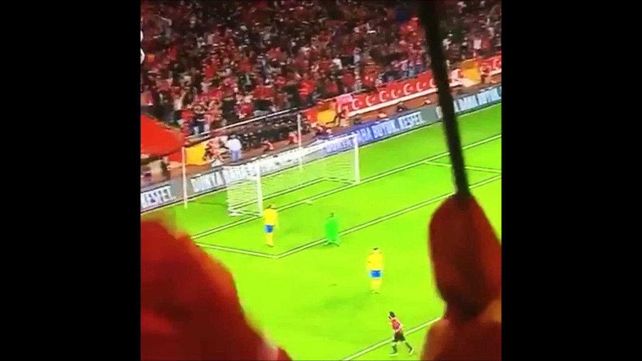 TÜRKİYE 2-1 İSVEÇ dünya kupası hazırlık maçları 2016