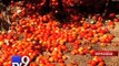 Price drop - angry farmers throw away tomatoes, Sabarkantha - Tv9 Gujarati