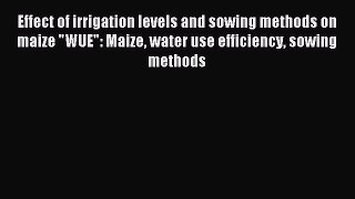 Download Effect of irrigation levels and sowing methods on maize WUE: Maize water use efficiency
