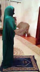 funy clips