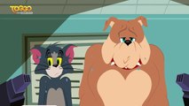 NEUE SERIE: Die Tom und Jerry Show ab dem 22.02. immer montags bis freitags