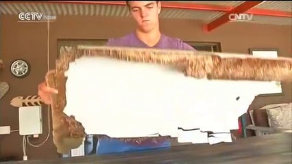 Поиск самолёта MH370.