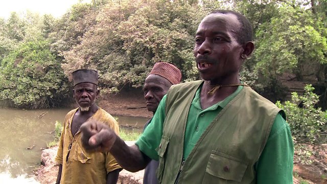 Defending Nigeria's last elephants against poachers