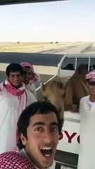 Zikra Khas Ki Barkat Hakeem Tariq Mehmmod Ubqari