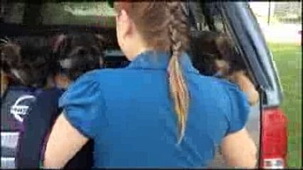 Les chiots berger allemand a Roxy et Kenya en route pour le Veterinaire !