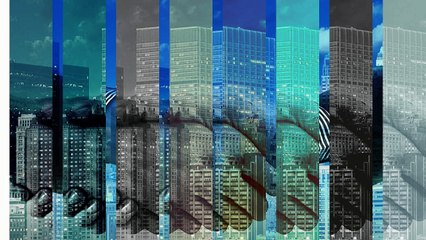 How To Choose Among International Moving Companies?