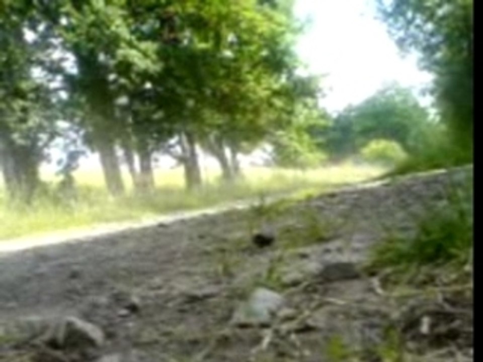 Dirt - essai pot