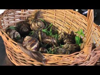 Rreze Dielli, "Te gatuajme me zonjen Tefta" Green Go Garden 25 mars, P.2