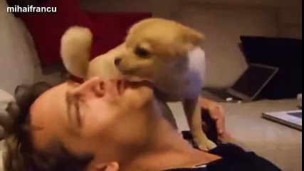 Cutest Puppies Howling Compilation 2014 [NEW]