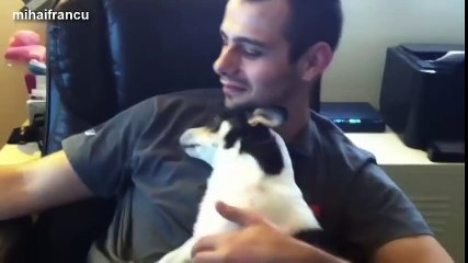 Funny Cute Dogs Love Their Human Owners Compilation 2014 [NEW]