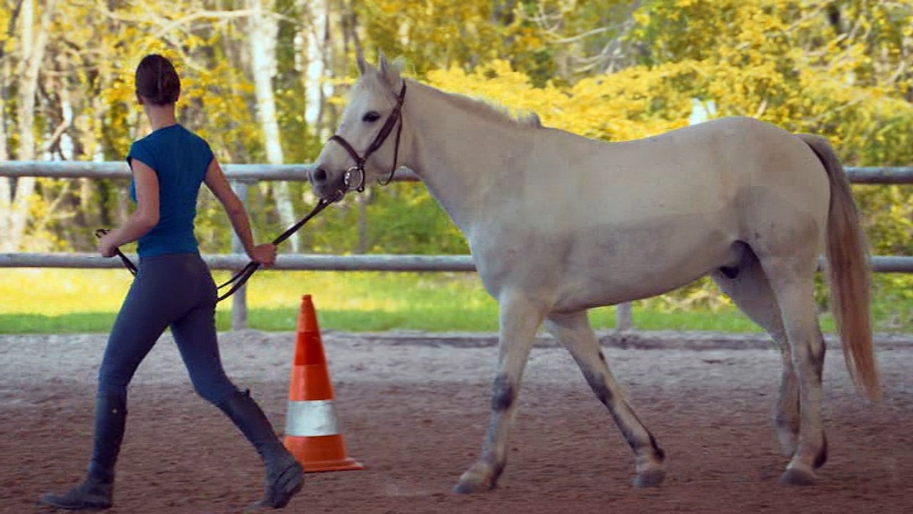 G2 Circuler a pied avec son cheval