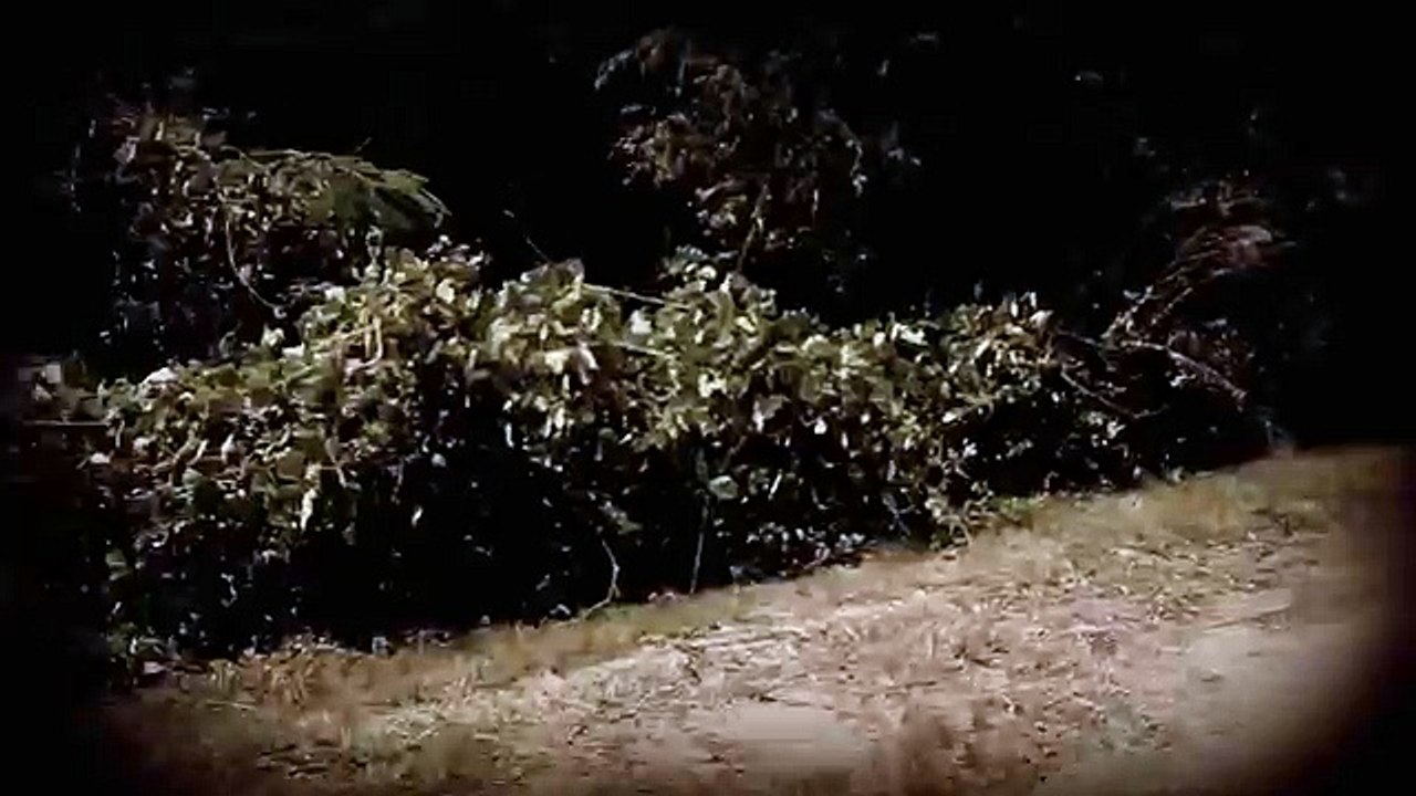 Top 60 Non Gaming Creepypastas 36