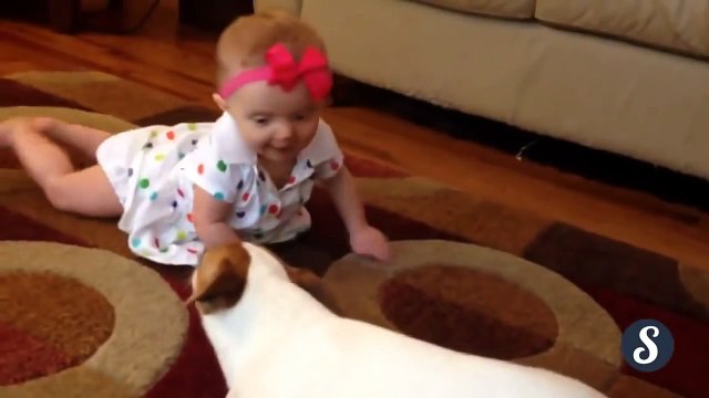 Bebeğe Emeklemesini Öğreten Köpek