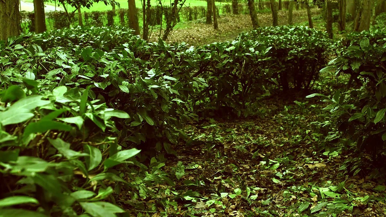 Rencontre avec Joy Sorman auteur de La peau de l'ours