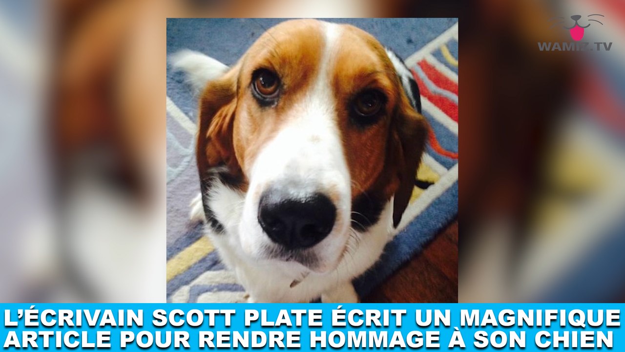 L'écrivain Scott Plate écrit un magnifique article pour rendre hommage à son chien ! Maintenant dans la minute chien #168