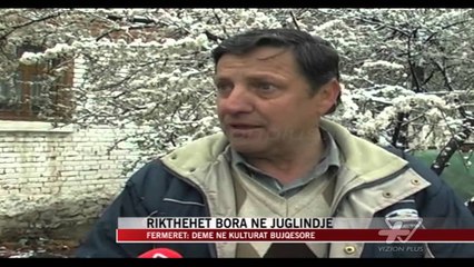 Rikthehet bora në juglindje - News, Lajme - Vizion Plus