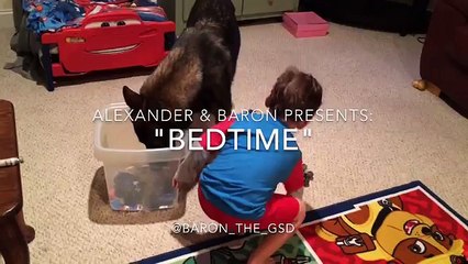 -Bedtime- featuring Baron The German Shepherd