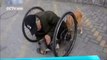 Ce chien aide son maitre handicapé à avancé avec son fauteuil roulant.