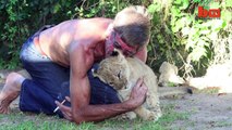 11 Ans D'Amitié Entre Un Lion Et L'Humain Qui L'a Sauvé