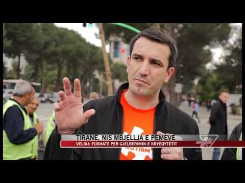 Tirane, nis mbjellja e pemeve - News, Lajme - Vizion Plus
