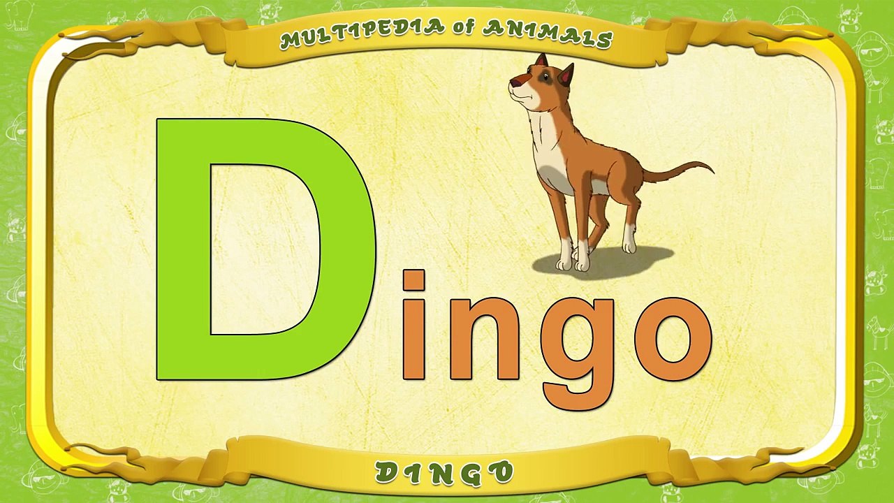 Multipedia of Animals Letter D Dingo