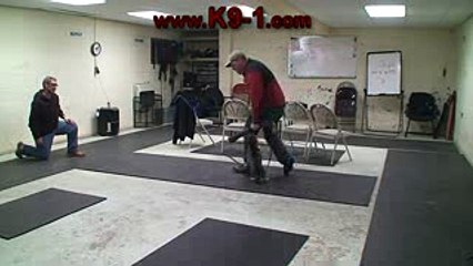 Testing a German Shepherd Puppy for Work Prospect www.K9-1.com
