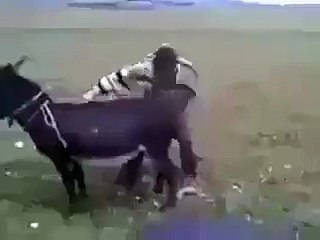 Donkey start to race