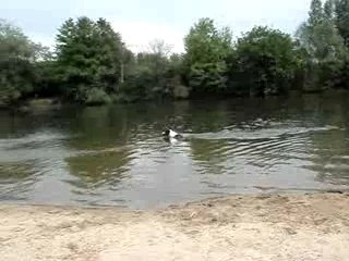 Baignade