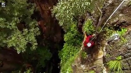 Dünyada sadece Kalahari'de bir mağarada yaşayan Altın YAYIN Balığı