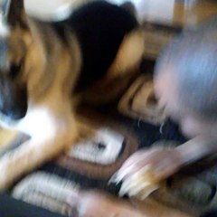 king playing with his bones