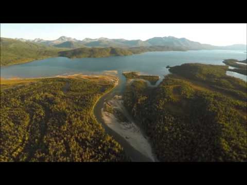 Salmon Migration at Lake Iliamna