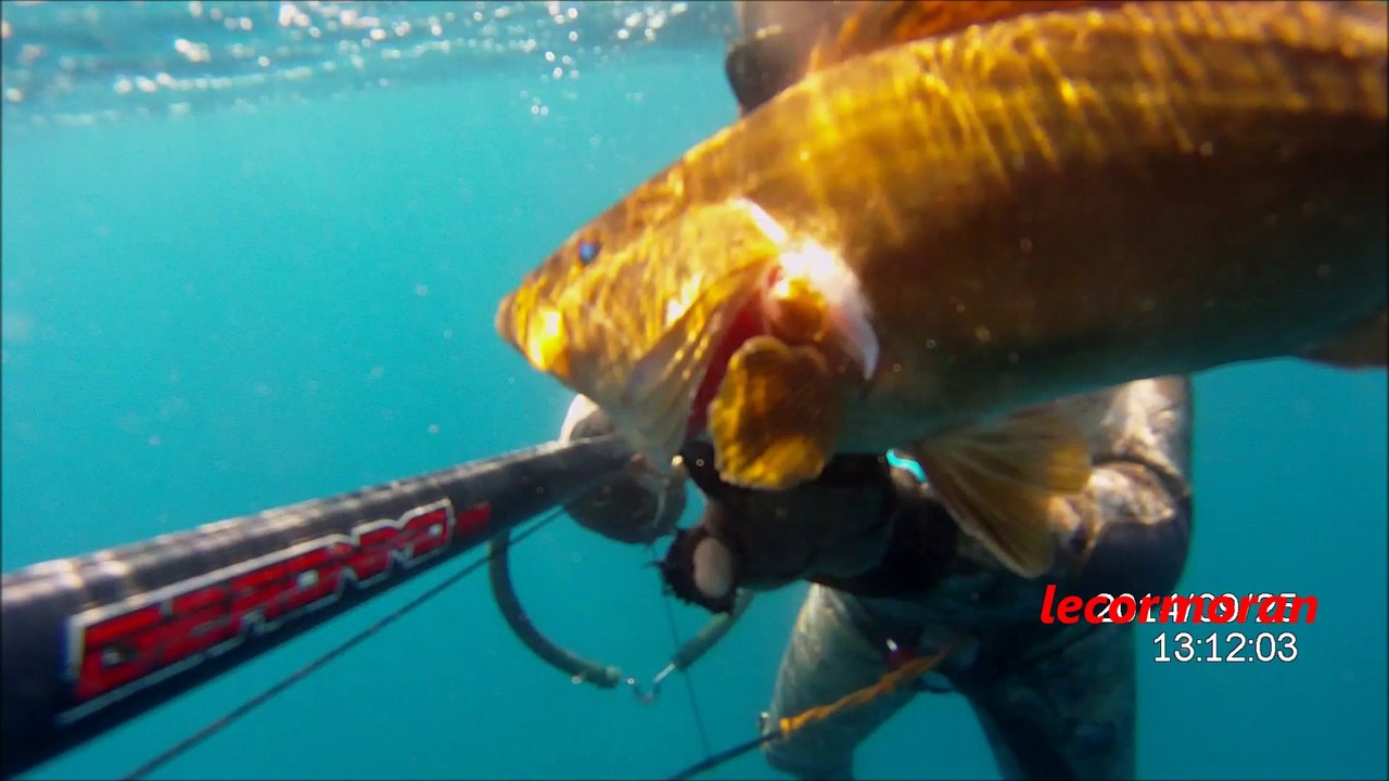 chasse sous marine, badeche a la coulée