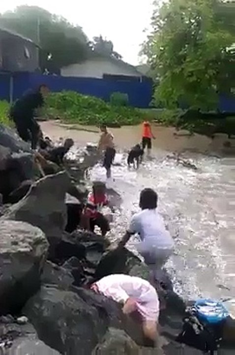 Karaya vuran balıklar Sebebi ne acaba