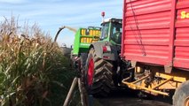 Mais Hakselen 2010 : Vital Laschet , Veld open snijden met Fendt 924, 927, 930