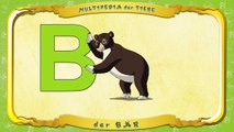 Multipedia der Tiere Buchstabe. B der Bär
