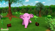 Elefantul Cu Jambiere - Cantece Pentru Copii