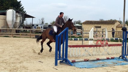 Jument 4 ans Evis ter putte x Cento x Heartbreaker