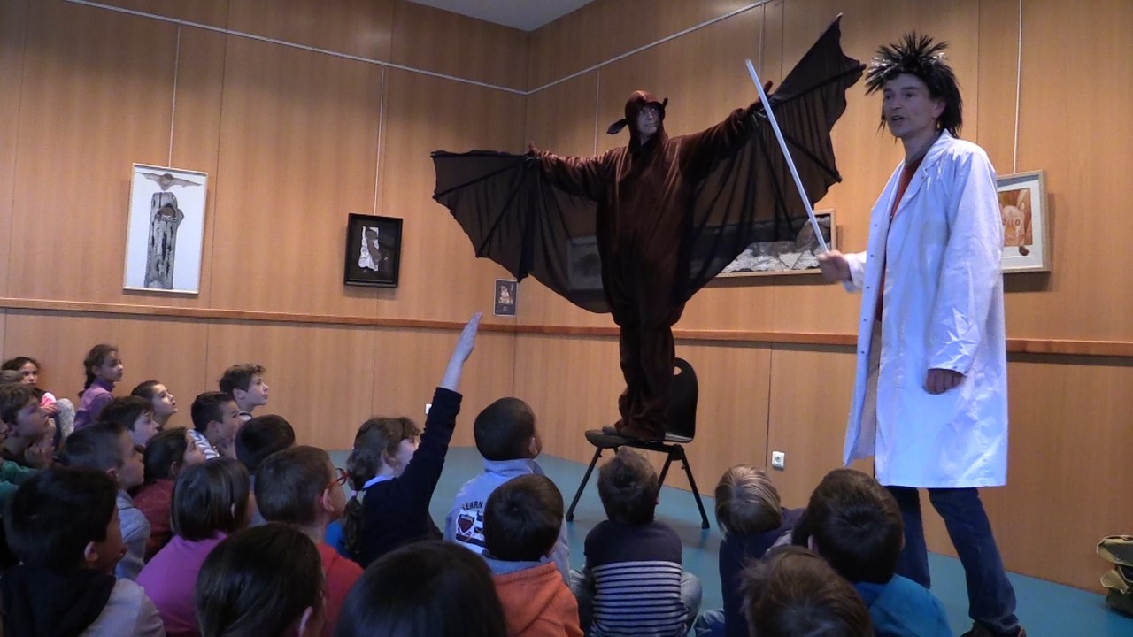 SPECTACLE - RENCONTRES CHAUVES-SOURIS.mpeg