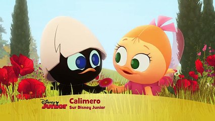 Calimero, nouvelle série - Le petit poussin au grand coeur !