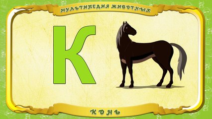 Мультипедия животных. Буква К Конь