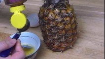 Anti Aging Skin Care Tips and How To Make Face Mask for Mature Skin with Pineapple Honey Egg White