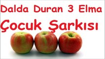 Dalda Duran Üç Elma Çocuk Şarkısı