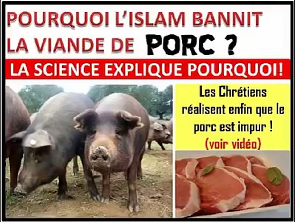 Pourquoi l'islam bannit la viande de porc -