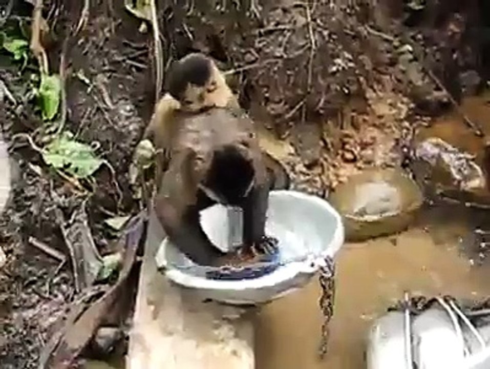 Amazing Dish washer