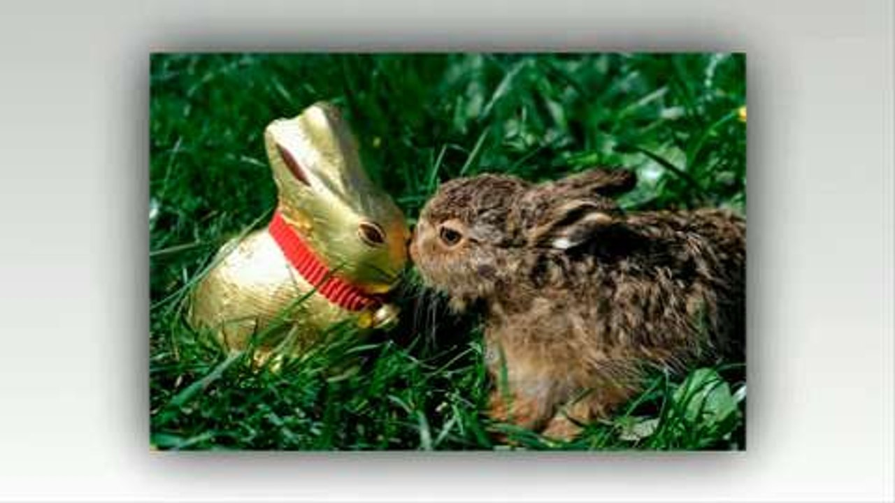 Joyeuses Pâques