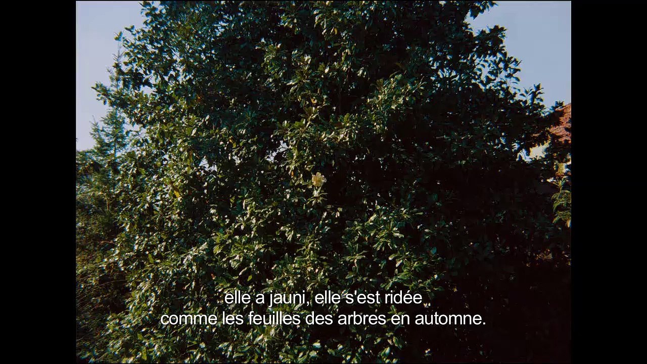 LA VISITE OU MEMOIRES ET CONFESSIONS - Bande-annonce VO