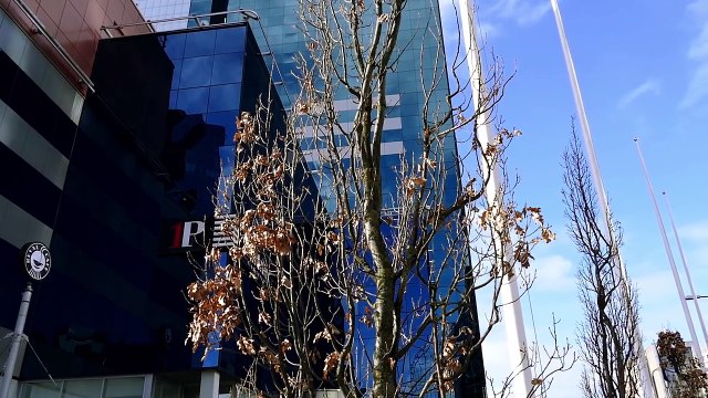 Shareholder IC Презентация .