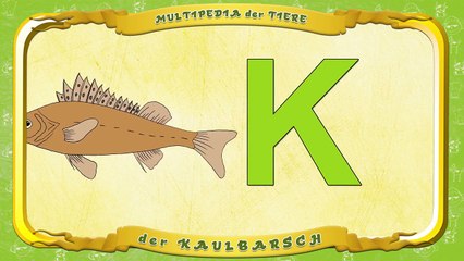 Tante Eules Multipedia Buchstabe K der Kaulbarsch