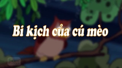 Khoảnh khắc kỳ diệu | Bi kịch của cú mèo | Full HD