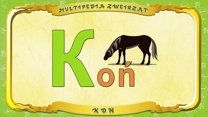 Multipedia Zwierząt. Litera K Koń